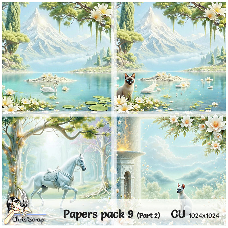 (image for) Chris - Papers pack 9_part 2
